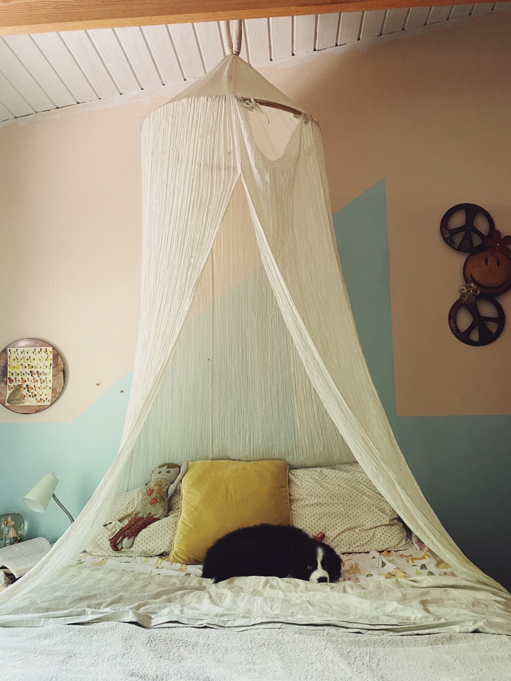 Forts & New Fur Baby